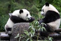 /album/fotogaleria/descarga-4-jpg/